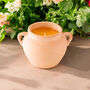 Terracotta Citronella Candle Outdoor Insect Repellent, thumbnail 1 of 4