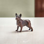 Miniature Bronze French Bull Dog Sculpture 8th Bronze, thumbnail 1 of 12