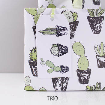Cactus Succulent Eco Friendly Wrapping Paper, 10 of 12