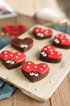 Love Bug Biscuit Baking Kit, 3 of 5