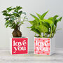 'Love You' Valentine's Plant Pot And Houseplant, thumbnail 4 of 7