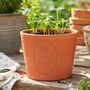 Personalised Couples Terracotta Plant Pot, thumbnail 1 of 7