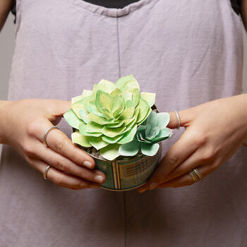 Paper Succulent Making Letterbox Gift Set, 9 of 11