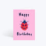 Ladybird Birthday Card, thumbnail 1 of 2