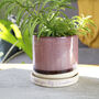 Hand Glazed Plant Pot And Saucer For Grandma, thumbnail 3 of 12
