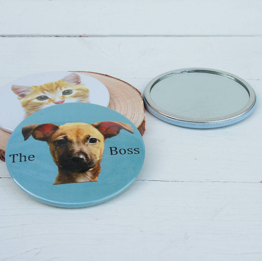Personalised Pet Portrait Mirror By Seahorse