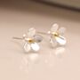 Sterling Silver Forget Me Not Flower Stud Earrings, thumbnail 1 of 9