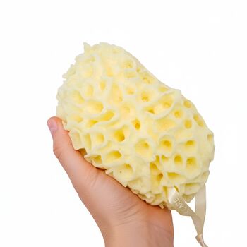 The Coral Scrubs Family Bath And Shower Sponges. Set Of Three Coral Inspired Body Sponges For Babies, Kids And Adults, 3 of 7