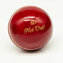 Engraved Cricket Ball '60 Not Out!' 60th Birthday Gift, thumbnail 1 of 3