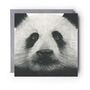 Panda Face Wildlife Greeting Card, thumbnail 2 of 6