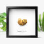 Nantan Authentic Meteorite Wall Hanging Box Frame, thumbnail 1 of 2
