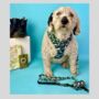 Camouflage Dog Harness, thumbnail 5 of 5
