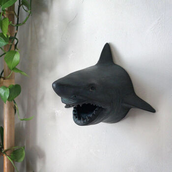 Wall Mounted Shark Head, 3 of 6