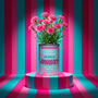 Personalised January Grow Your Own Flower Gift, thumbnail 1 of 4