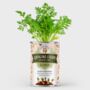 Personalised Birthday Flower Tin Grow Your Own Carrots, thumbnail 1 of 4