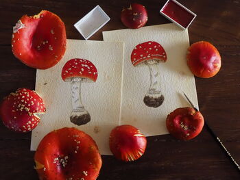 Fly Agaric Original Painting, 3 of 3