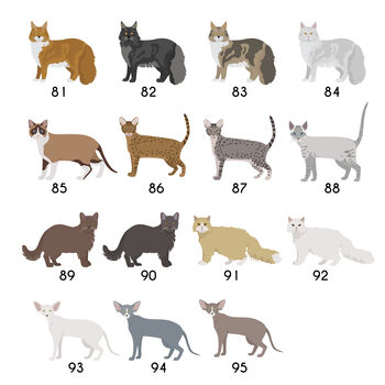 Personalised Cat Breed Fridge Magnet, 7 of 11
