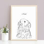 Personalised Pet Line Drawing Print, thumbnail 5 of 10