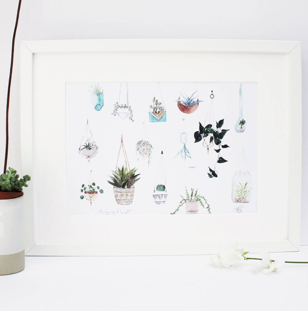 Hanging Plants Watercolour Print, 1 of 2