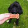 Personalised Plant Based Dog Bone Biscuit Treats, thumbnail 7 of 11