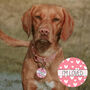 Tiny Hearts Personalised Pet ID Tag, thumbnail 2 of 6