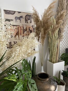 Dried Natural Pampas Grass Bunch, 5 of 6