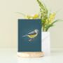 Illustrated Blue Tit Greeting Card, thumbnail 1 of 2