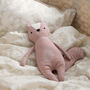 Zappy The Squirrel Soft Toy, thumbnail 1 of 2