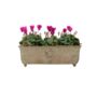 Cyclamen Metal Trough Planter – Purple And White Blooms, thumbnail 2 of 6