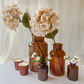Amber Brown Glass Botanical Bottle Vase, 3 of 5