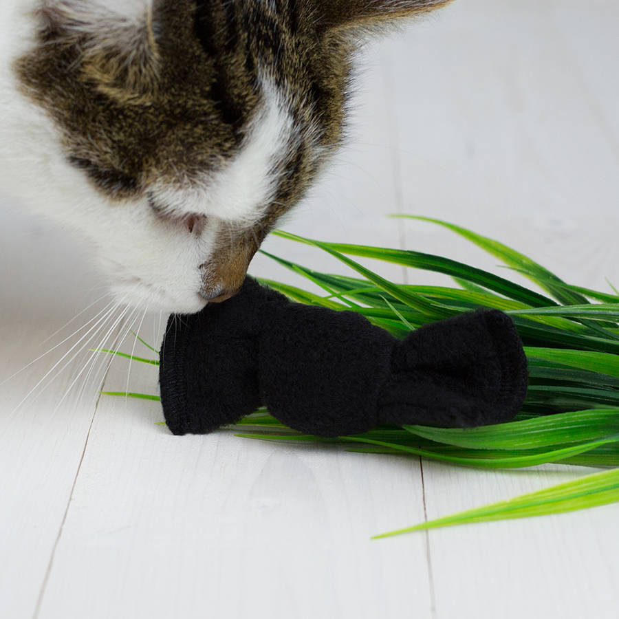 Handcrafted Organic Catnip Bow Tie Toy, 1 of 4