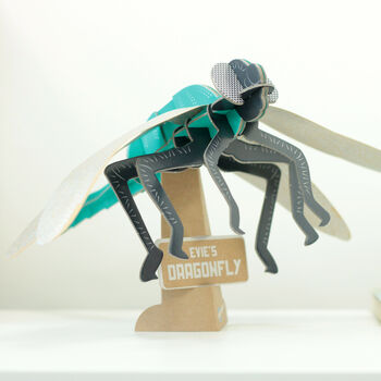 Build Your Own Personalised Dragonfly Kit, 5 of 12