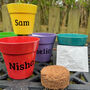 Personalised Children's Growing Kit Choice Of Six, thumbnail 1 of 2
