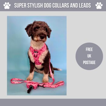 Pink Floral Dog Collar And Lead Set, 4 of 4