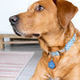 Personalised 'Hello My Name Is' Pet ID Tag, thumbnail 2 of 9