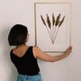 Natural Dried Reed Grass Framed Art, thumbnail 1 of 5