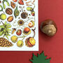 Nuts And Seeds Of Britain Postcard, thumbnail 5 of 8