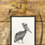P Is For Peruvian Pelican Illustration Print, thumbnail 3 of 6