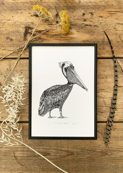 P Is For Peruvian Pelican Illustration Print, 3 of 6