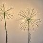 Solar LED Dandelion Stake Light Small, thumbnail 4 of 4