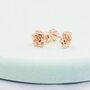 Petite Sterling Silver Rose Stud Earrings, thumbnail 6 of 12