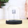 Muonian Meteorite Bell Jar Real Authentic Space Meteor Fragment Museum Quality Natural History Interior Design Home Decor Display Gift Ornament, thumbnail 1 of 5