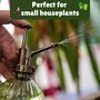 Houseplant Survival Gift Set, thumbnail 4 of 6