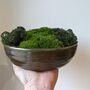 Preserved Moss In A Large Ceramic Handmade Bowl, thumbnail 2 of 8
