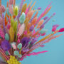 The Sherbert Macaroon Dried Flower Bunch, thumbnail 8 of 9