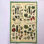 Seasonal Fruit And Vegetable Tea Towel, thumbnail 8 of 8