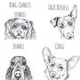 Personalised Ink Drawing Pet Portrait, thumbnail 7 of 7