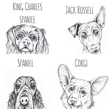 Personalised Ink Drawing Pet Portrait, 7 of 7