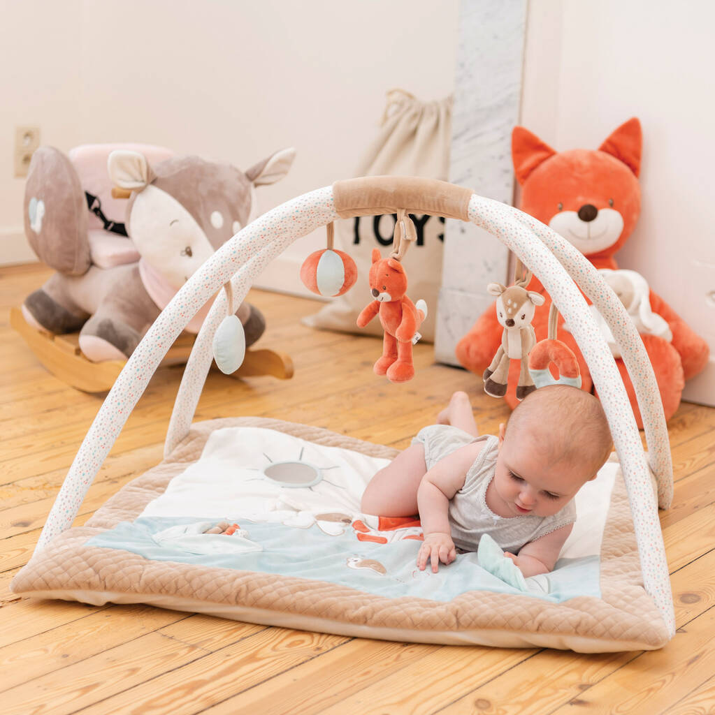 Image of Soft Toy Baby Gym