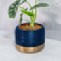 Midnight Tread Planter, thumbnail 2 of 4